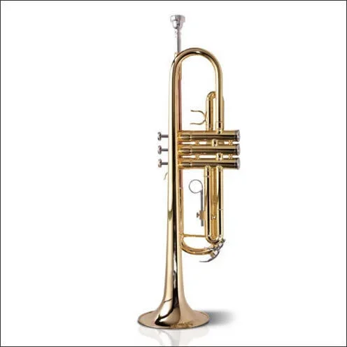 Ashton B Flat Trumpet Outfit Tr10