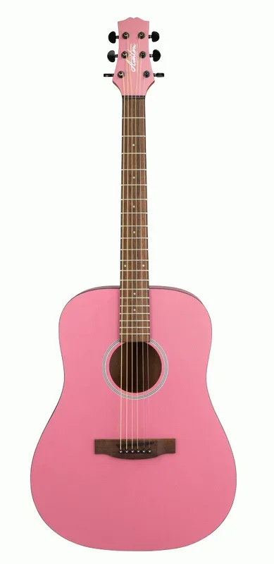 ASHTON SPD30 GUV ACOUSTIC GUITAR W/GIG BAG