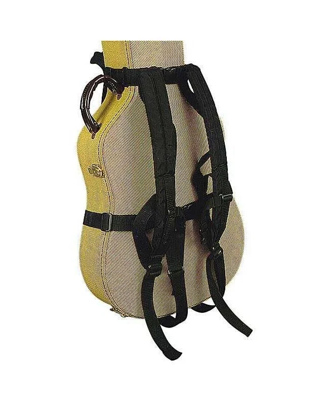 Backaxe Instrument Case Backpack