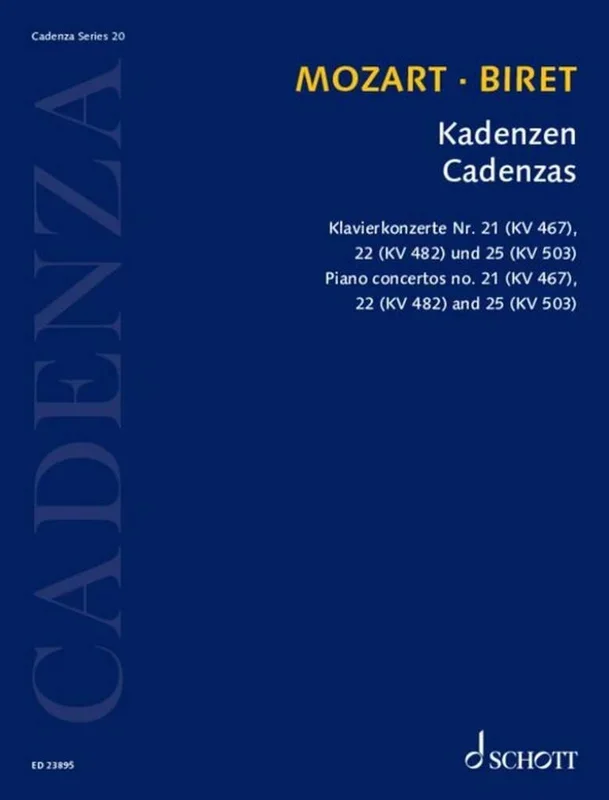 Biret: Cadenzas