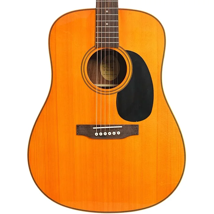 Blueridge BR-60 Limited Edition Acoustic Guitar (2019)