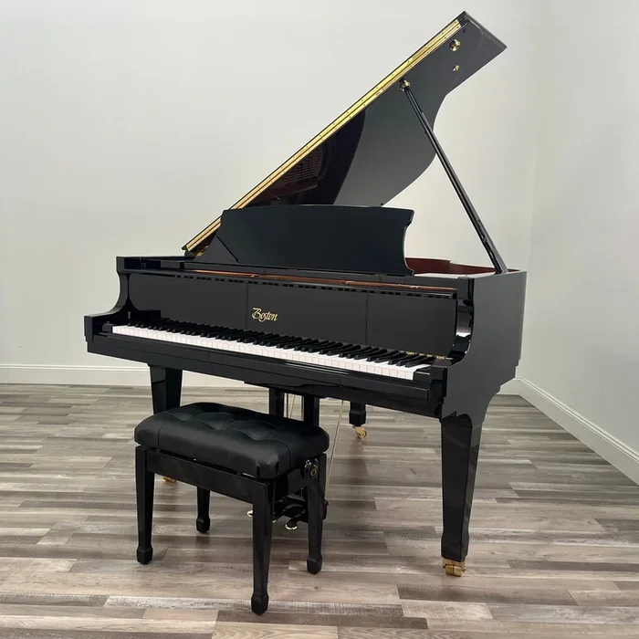 Boston GP-163 PE II in Polished Ebony #213019