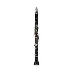Buffet R13 Professional Bb Clarinet (Nickel Plated Keys)