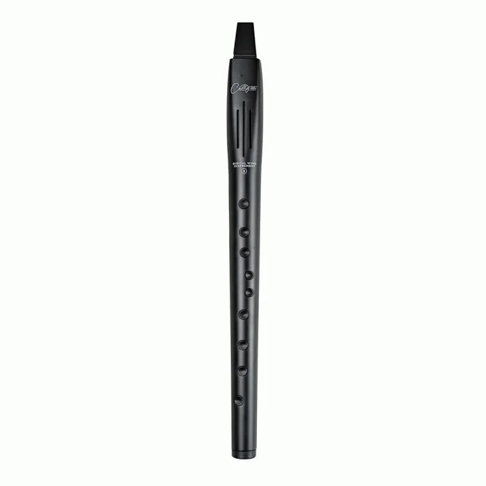 Carry-On Digital Wind Instrument 2 – Black with 10 Voices and Adjustable Reverb Effect