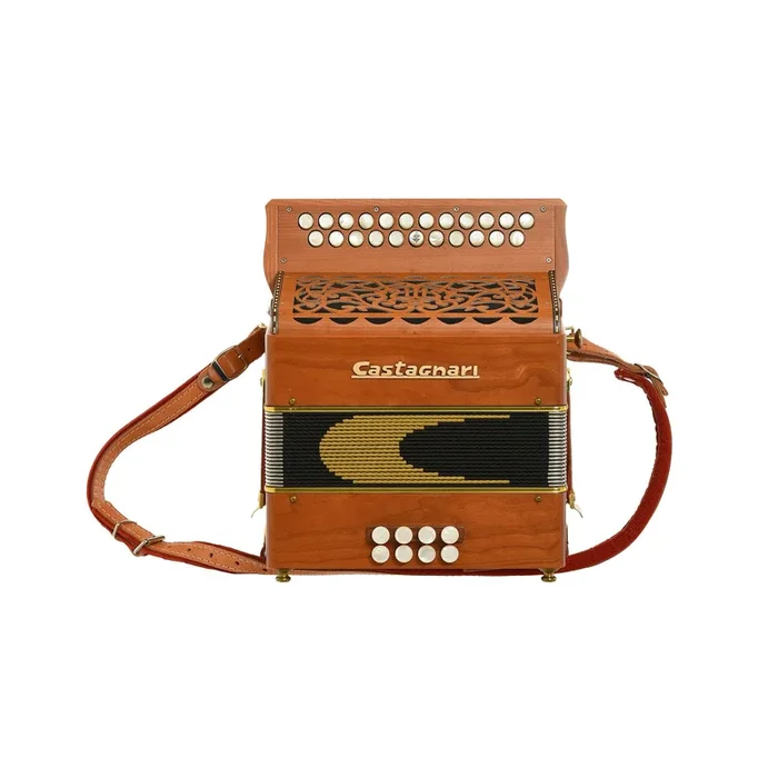 Castagnari Dinn III Button Accordion B/C (2003)