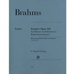 Concerto in D Major, Op. 61: Cadenzas – Violin