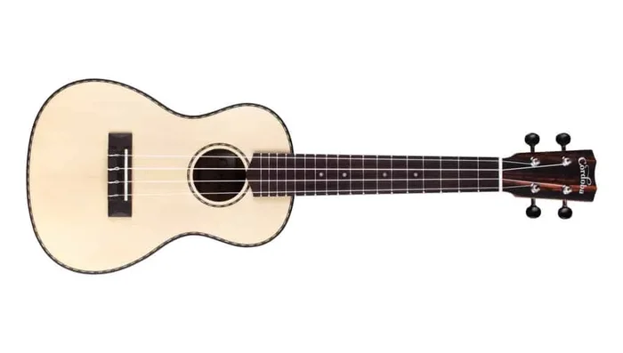 Cordoba 21C Solid Top Concert Ukulele