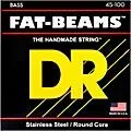 DR Strings Fat-Beams Stainless Steel Medium-Lite 4-String Bass Strings (45-100) Standard