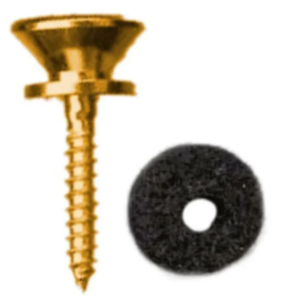 EAGLE – Gold end pin with separate screw and felt washer, Flat top, Guitar