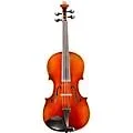 Eastman VA605 Master Series Advanced Viola Outfit 15.5 in.