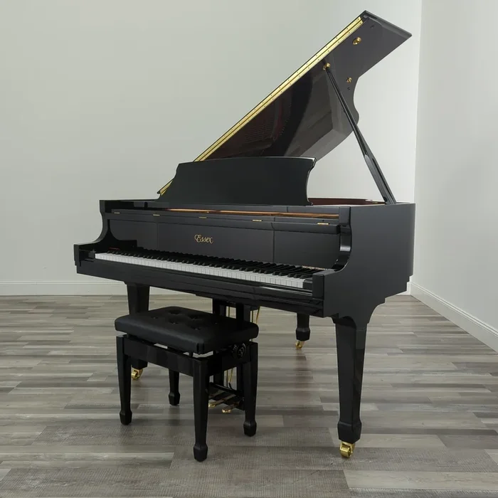 Essex EGP-155 (5’1 “) in Polished Ebony