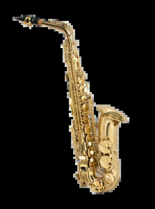 Fontaine FBW309 E Flat Alto Saxophone with Case
