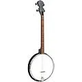 Gold Tone AC-4IT Composite 4-String Openback Irish Tenor Banjo Standard