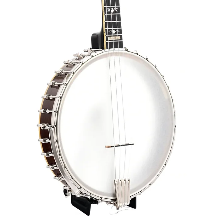 Gold Tone CEB-4 Cello Banjo & Case