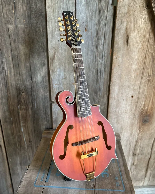 Gold Tone F-10 10-String Mandolin & Case, with Pickup