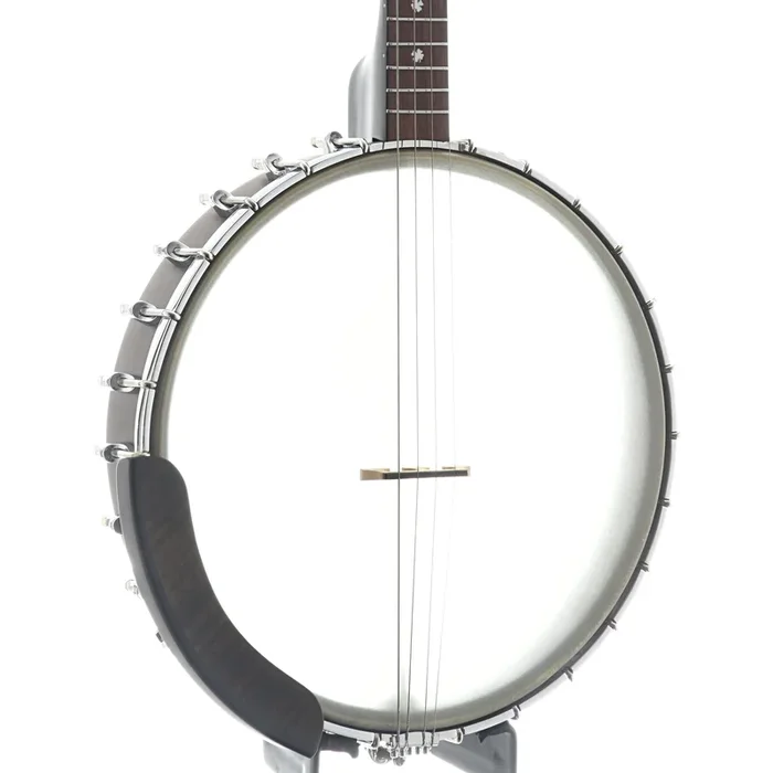 Gold Tone Tenor Banjo & Gigbag, 12″ Rim, 19 Frets
