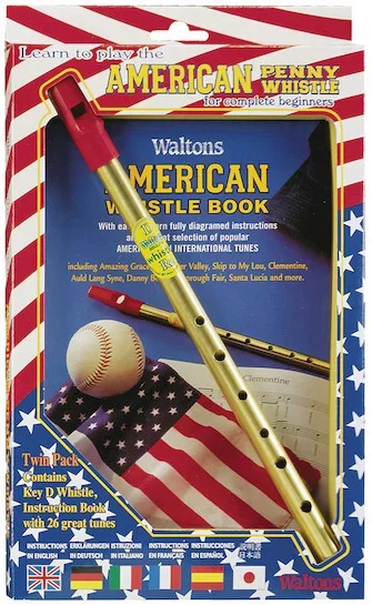 Hal Leonard Learn to Play the American Penny Whistle for Complete Beginners