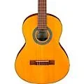 Ibanez GA2OAM 3/4 Size Classical Acoustic Guitar Amber