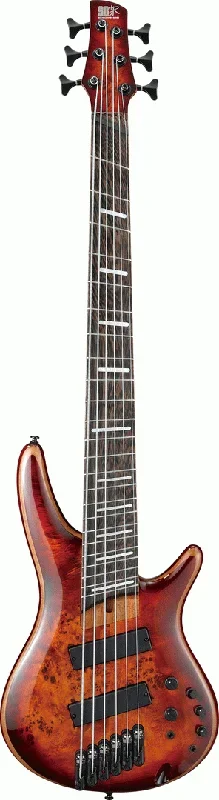 Ibanez SRMS806 BTT Electric 6-String Bass (Brown Topaz Burst)