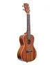 Kala KA-C Stain Mahogany Concert Ukulele