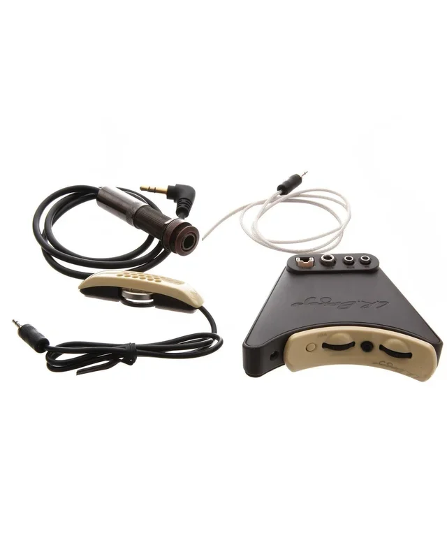 L.R. Baggs Anthem “Tru-Mic” System