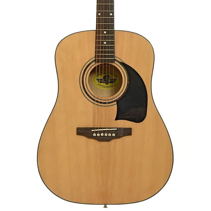 Lyon by Washburn Dreadnought Acoustic Guitar (Recent)