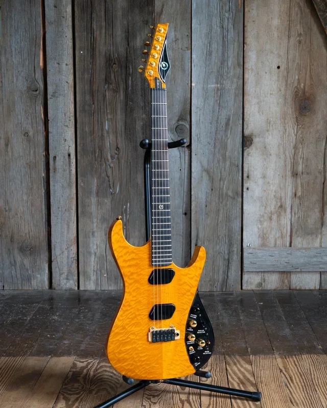 Moog E-1 Paul Vo Collector’s Edition Electric Guitar (2008)