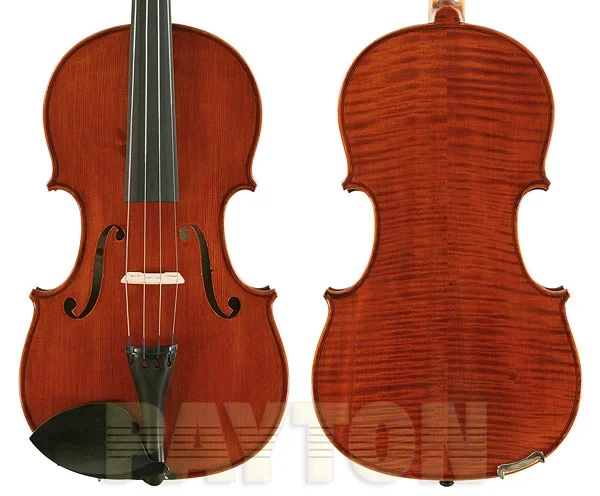 Salieri SVA-6 Viola & Oblong Case 16in