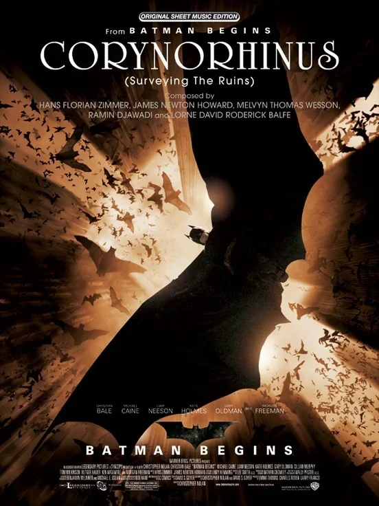 Surveying The Ruins From Batman Begins S/S