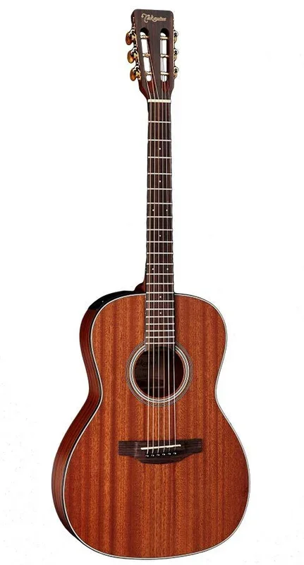 Takamine G11 Series New Yorker AC/EL Guitar