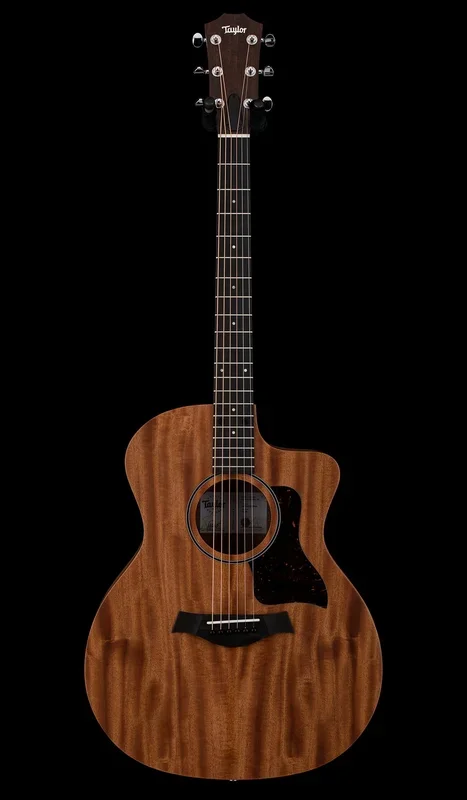 Taylor 24ce #25349