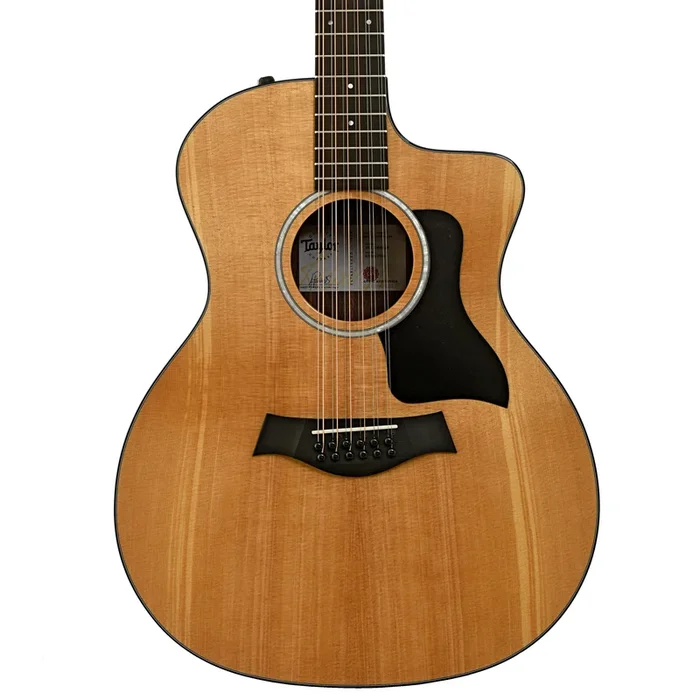 Taylor 254ce Plus 12-String Acoustic Guitar & Case