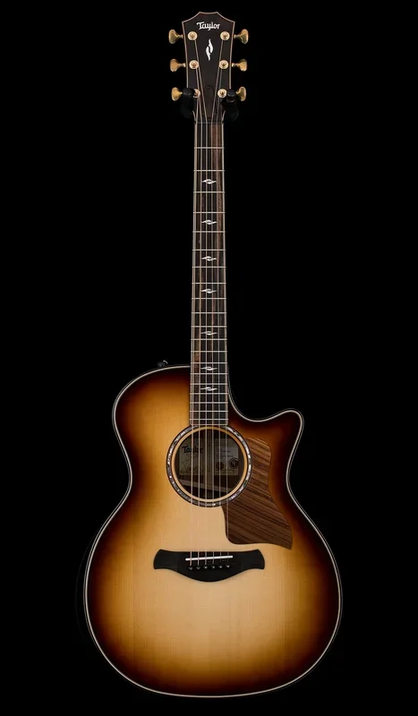 Taylor Builder’s Edition 814ce Adirondack Spruce #65003 (Demonstration Model)