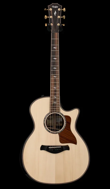 Taylor Builder’s Edition 814ce Adirondack Spruce #75013 (Demonstration Model)