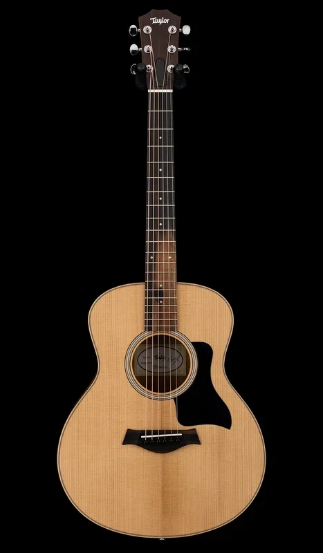 Taylor GS Mini Sapele #95216