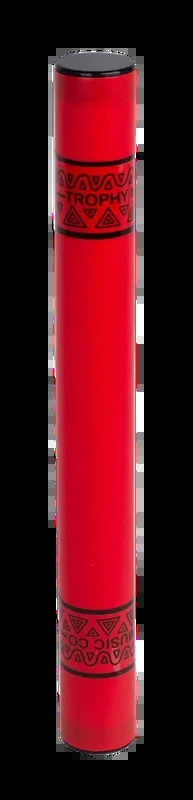 Trophy 16 Inch Plastic Rainstick