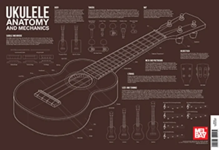 Ukulele Anatomy Wall Chart Book