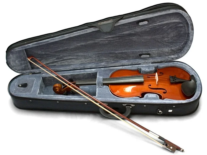 Valencia 1/10 Size Violin Outfit Solid Carved Top and Back Poly Foam Ca