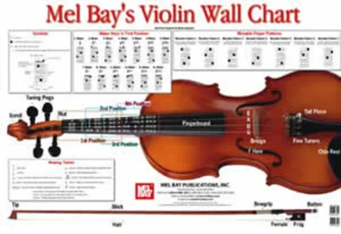 Violin Wall Chart (Poster)
